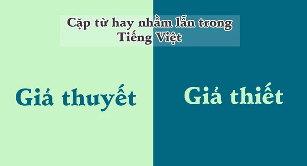 Từ Giống Nhau Nhưng Khác Nghĩa Trong Tiếng Việt