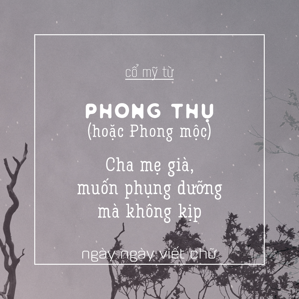 Khám Phá Thế Giới Từ Ngữ Cổ Xưa