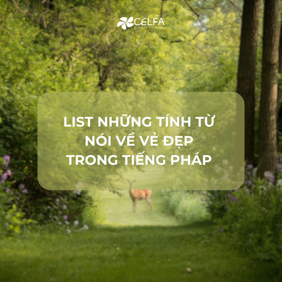 Những Từ Tiếng Pháp Đẹp:  Khám Phá Vẻ Đẹp Ngôn Ngữ Ánh Sáng Gallery 2