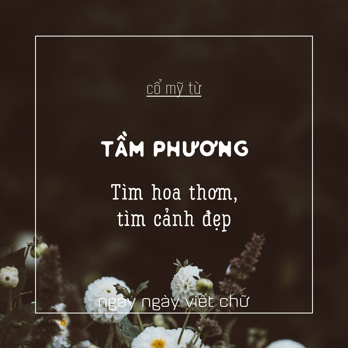 Những Từ Tiếng Việt Hay Và Ý Nghĩa