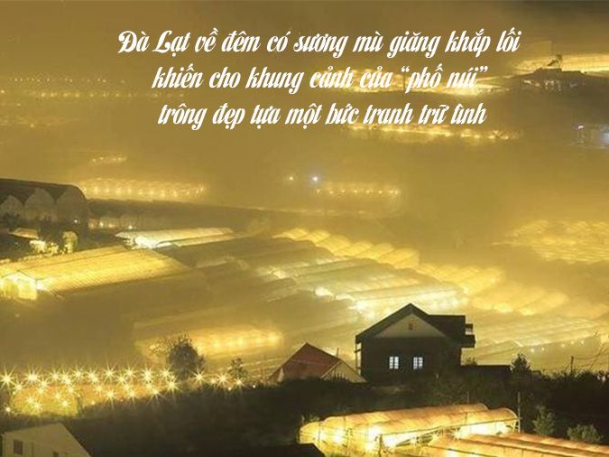 Những Tus Hay Về Đà Lạt Gây Nghiện Gallery 2