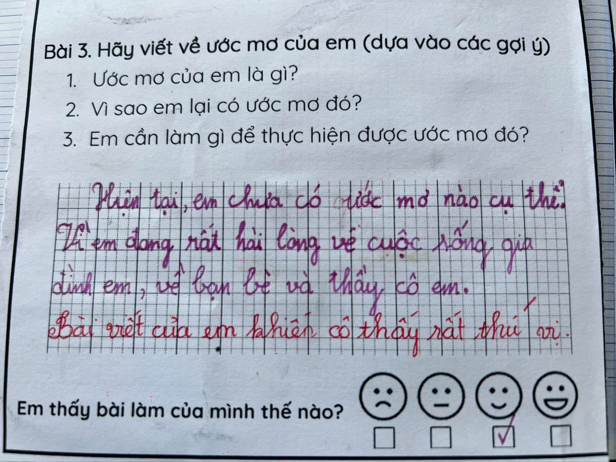 Viết đoạn văn về ước mơ của em lớp 3 Gallery 1