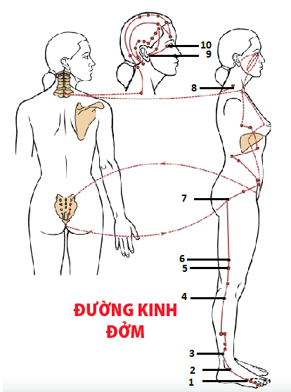 Đường Đi Kinh Đởm: Khám Phá Hành Trình Thử Thách Bản Thân Gallery 2
