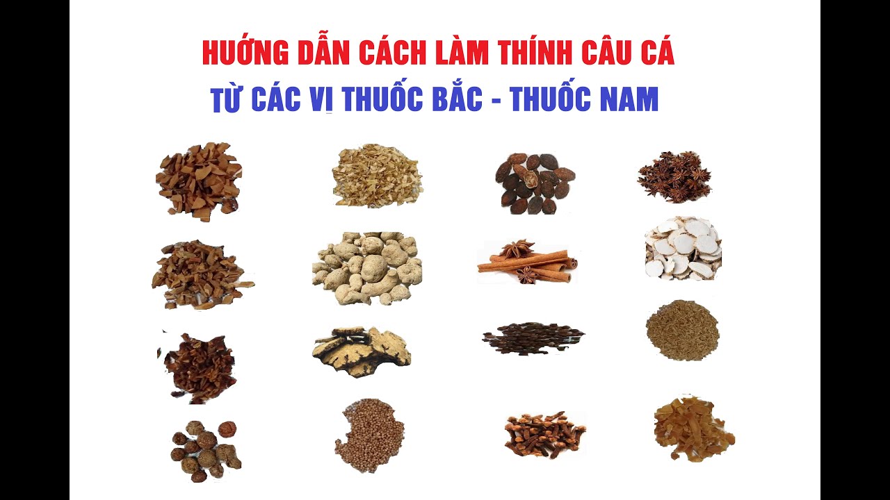 Các Vị Thuốc Bắc Làm Mồi Câu Cá Tra Hiệu Quả Gallery 1