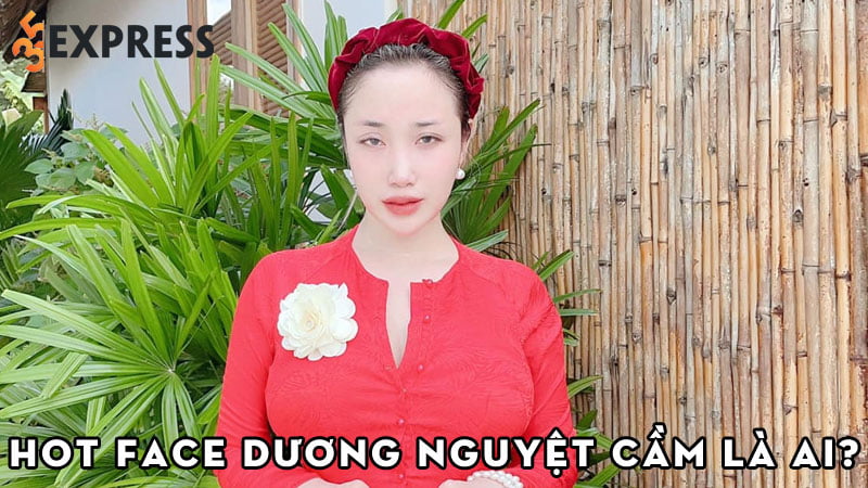 Video Dương Nguyệt Cầm Gallery 1
