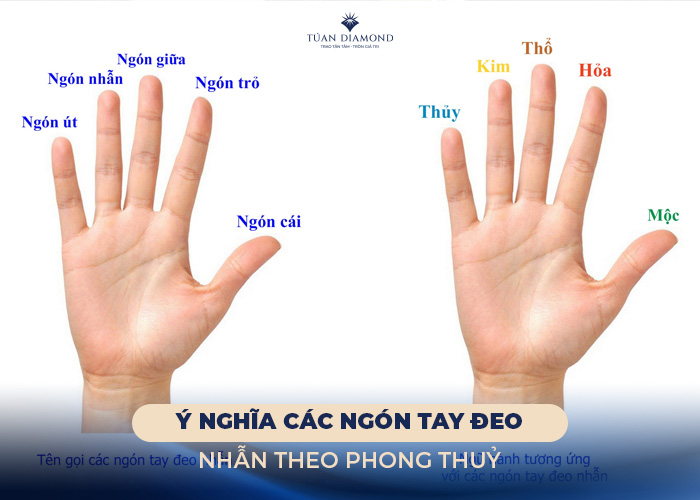 Nam Tả Nữ Hữu Đeo Nhẫn Gallery 2