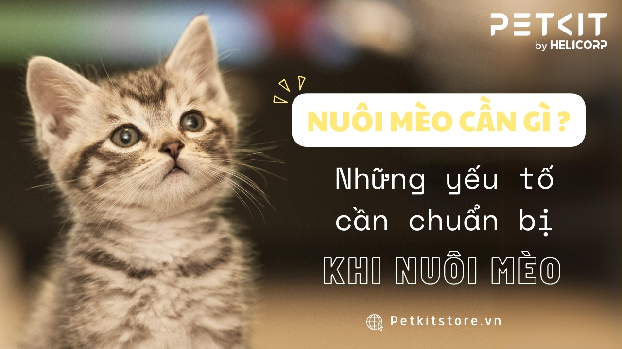 Con gì dễ nuôi nhất? Gallery 2