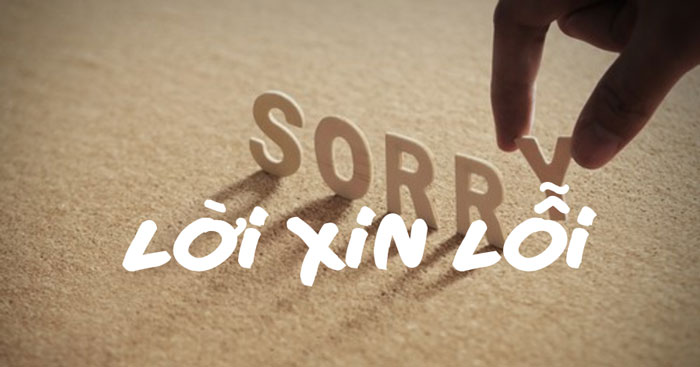 Vai trò của lời xin lỗi Gallery 2