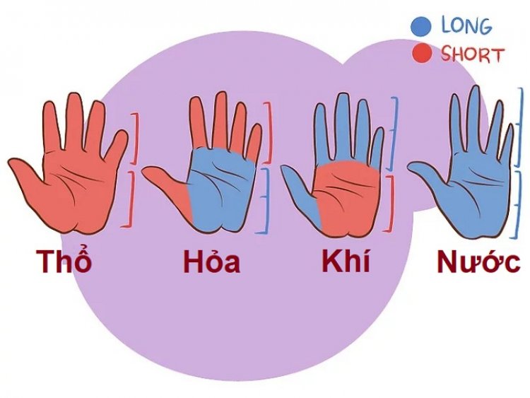 Tướng Bàn Tay Đầy Đặn: Ý Nghĩa và Sự Thịnh Vượng Gallery 2