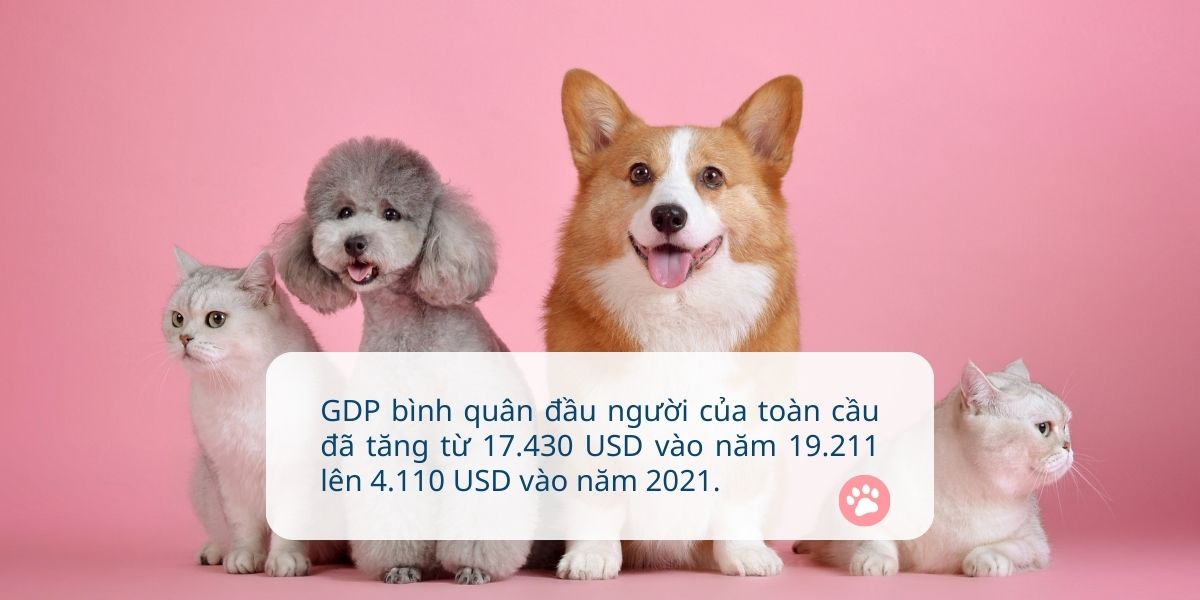 Xu hướng nuôi thú cưng ở Việt Nam Gallery 2