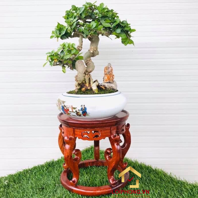 Đôn Chậu Cây Cảnh Bằng Sắt: Hướng Dẫn Chọn Mua Và Sử Dụng Gallery 2