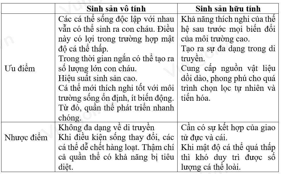 Giao Hữu Kết Hợp Là Gì? Tìm Hiểu Chi Tiết Về Hình Thức Thi Đấu Này Gallery 2