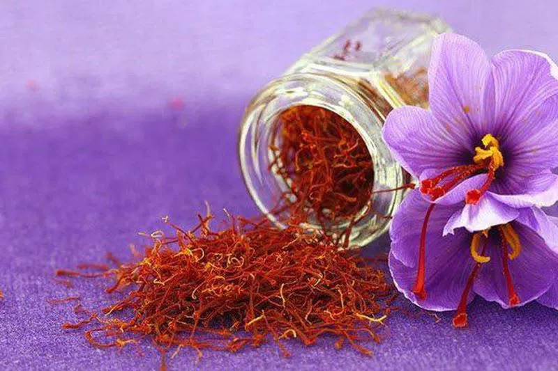 Nhụy Nghệ Tây Có Tác Dụng Gì?