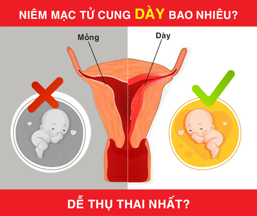 Niêm mạc bao nhiêu dễ thụ thai?