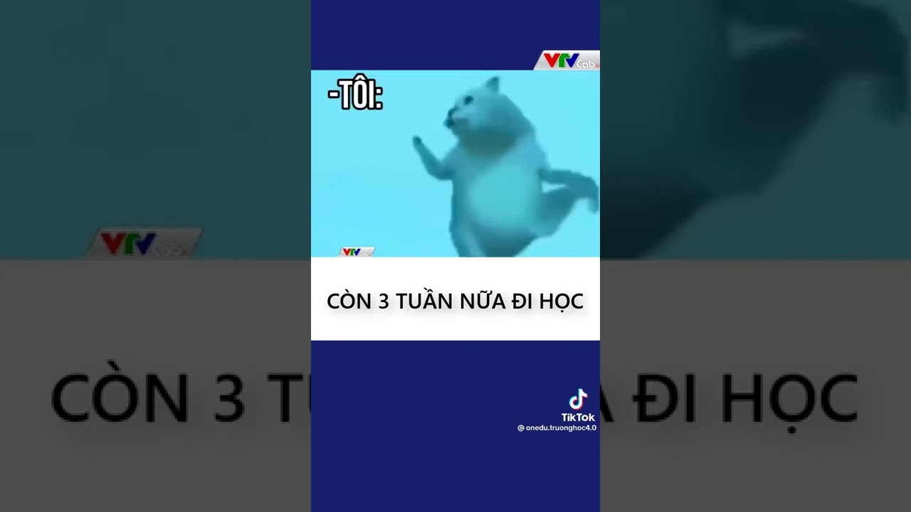 Năm học mới đã tới chợt nghe lòng phơi phới Gallery 1