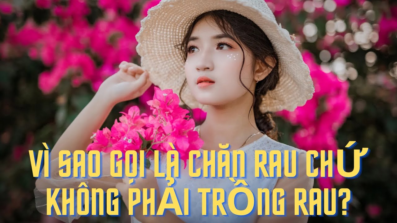 Kí Sự Chăn Rau: Cuộc Sống Khó Khăn Nhưng Đầy Ý Nghĩa Gallery 1