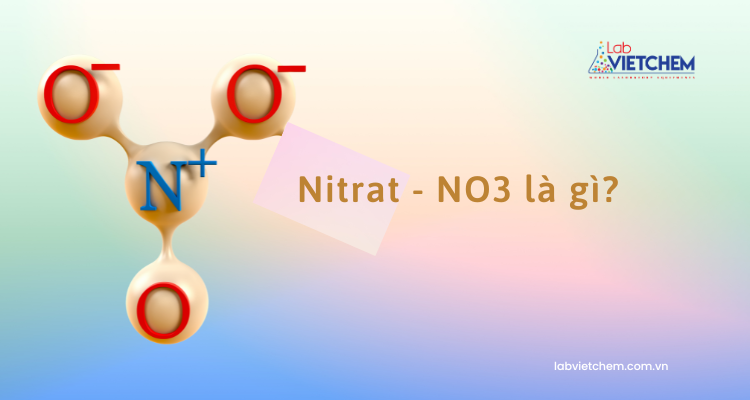 NO3 tên gọi là gì? Gallery 1