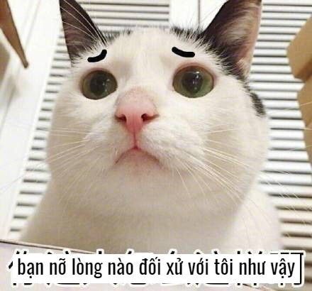 Nỡ Lòng Nào?