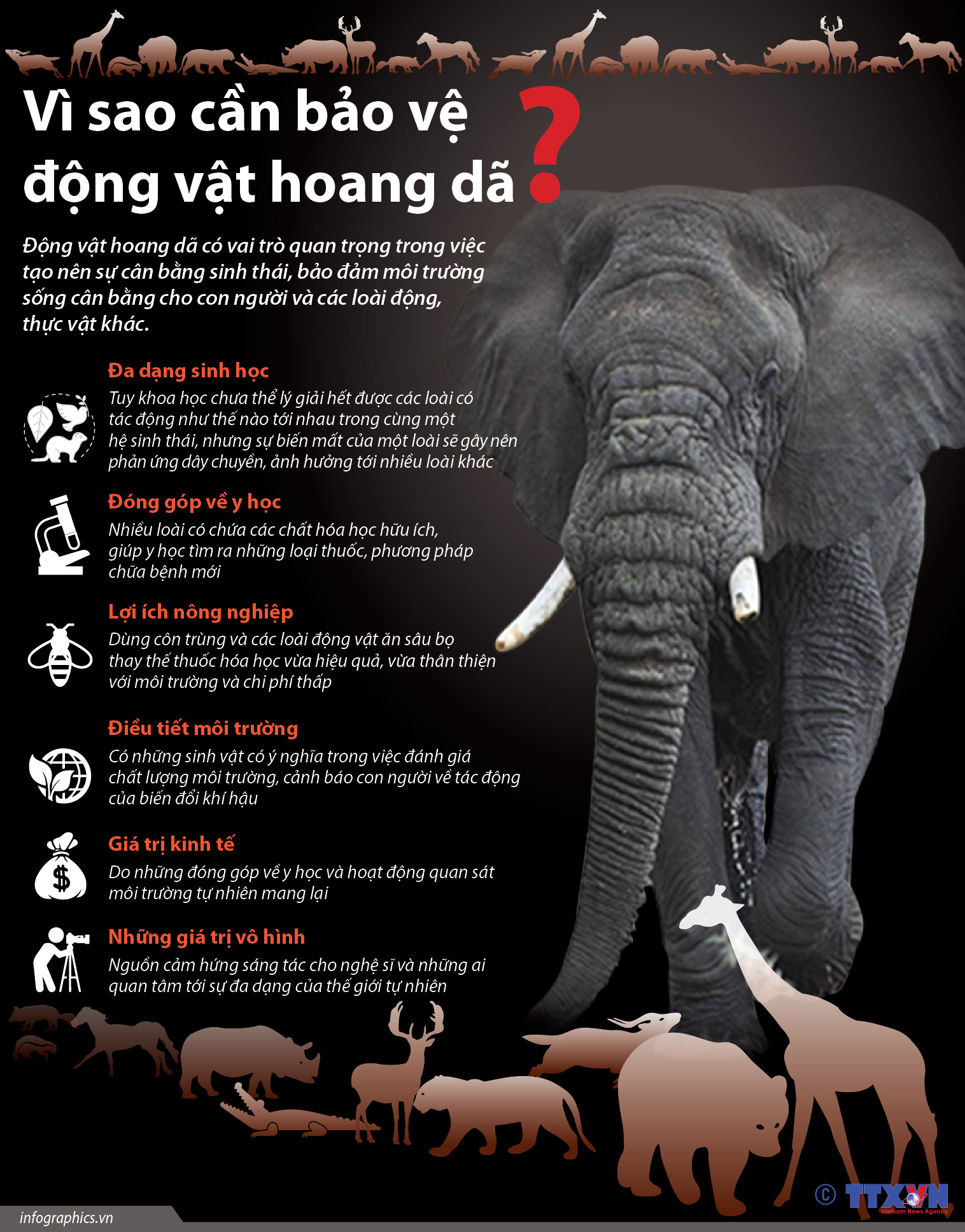 Những Con Vật Có Nguy Cơ Tuyệt Chủng Ở Việt Nam Gallery 2