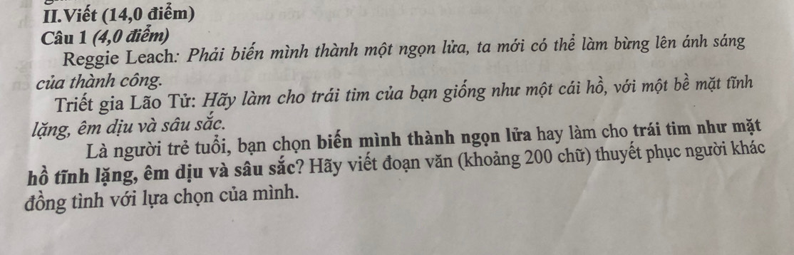 Phải Biến Mình Thành Một Ngọn Lửa Ta Mới Có Thể Làm Bừng Lên Ánh Sáng Của Thành Công Gallery 2