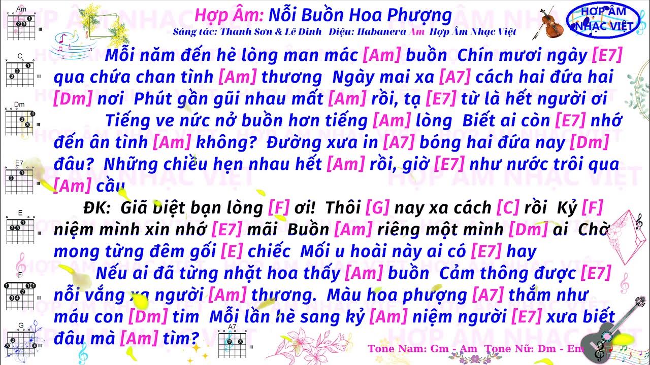 Nỗi Buồn Hoa Phượng Hợp Âm Gallery 2