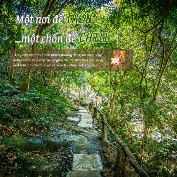 Nơi Chốn Hay Nơi Trốn Gallery 2