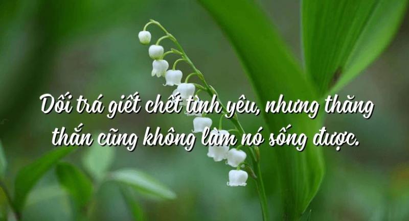 Nói dối có hại cho bản thân Gallery 2