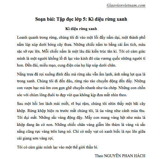 Kì Diệu Rừng Xanh
