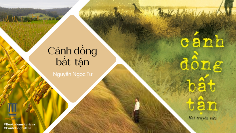 Tóm tắt Cánh đồng bất tận Gallery 1