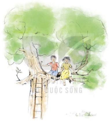 Tóm tắt Bài Ngôi nhà trên cây Gallery 1