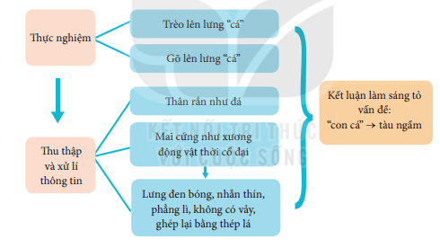 Tóm tắt văn bản Cuộc chạm trán trên đại dương Gallery 1