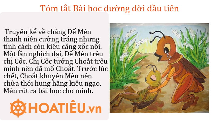 Tóm tắt Bài Dế Mèn Phiêu Lưu Ký Lớp 6 Gallery 1