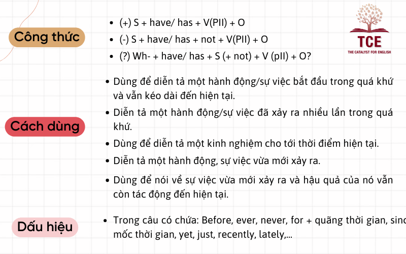 Ngữ pháp Bài 29: Tổng hợp kiến thức và bài tập Gallery 1