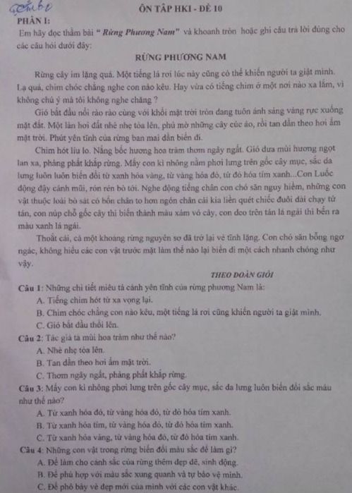Rừng Phương Nam Lớp 5 Gallery 1