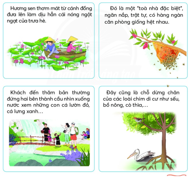 Sách Tiếng Việt Lớp 2 Tập 2 Chân Trời Sáng Tạo Gallery 1