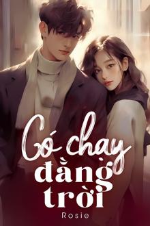 Tiểu thuyết Có Chạy Đằng Trời Gallery 1