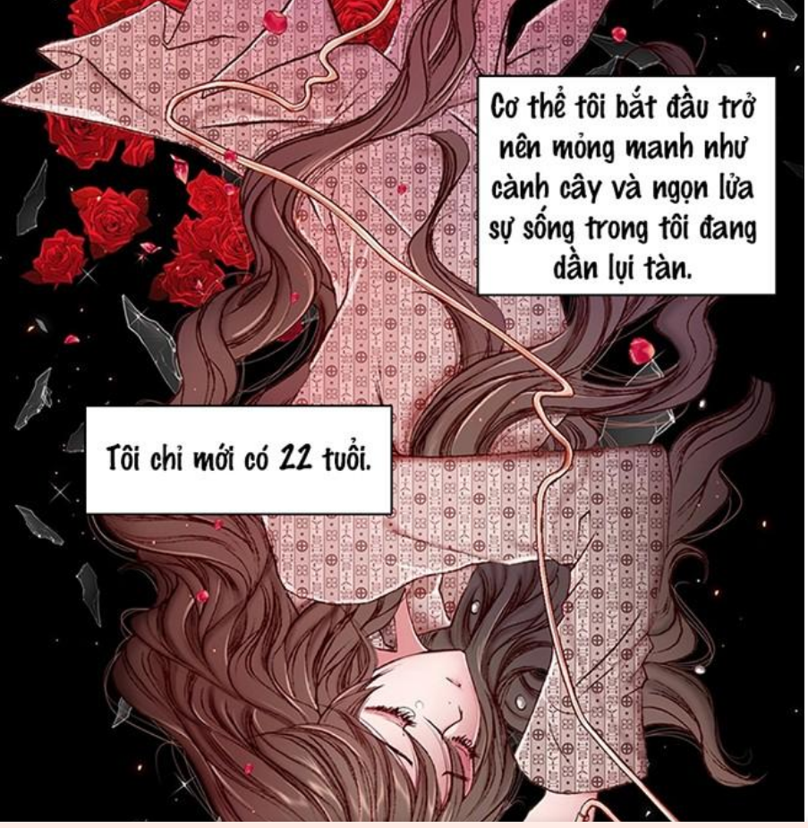 Truyện Trở Thành Tiểu Thư Xấu Xí Gallery 1