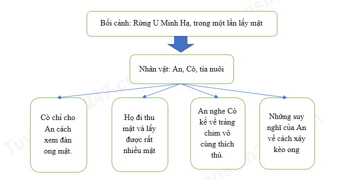 Tóm tắt văn bản Đi lấy mật lớp 7 Gallery 1