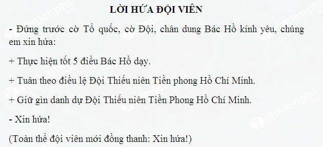 Lời Hứa Của Đội Viên Khi Được Kết Nạp Vào Đội Thiếu Niên Tiền Phong Hồ Chí Minh Gallery 1