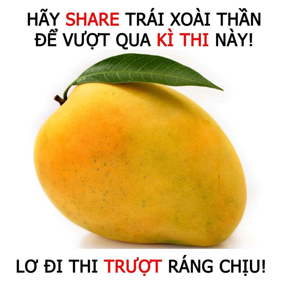 Thần Xoài Thần Thìa Gallery 2