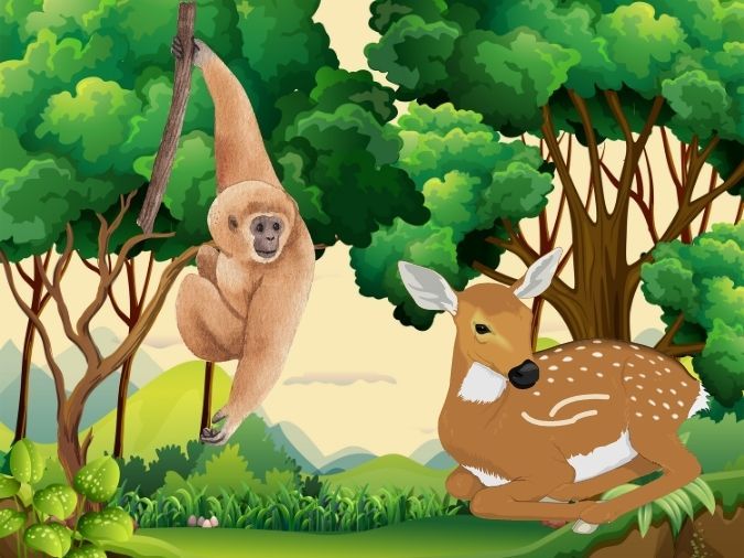 Nói Hươu Nói Vượn Là Gì?