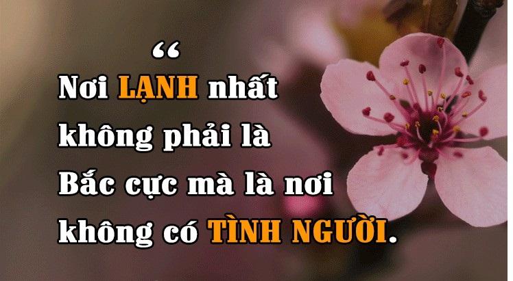 Nơi lạnh lẽo nhất không phải là Bắc Cực Gallery 2
