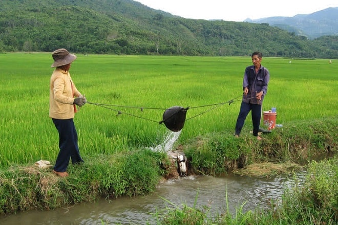 Nói lối là gì?