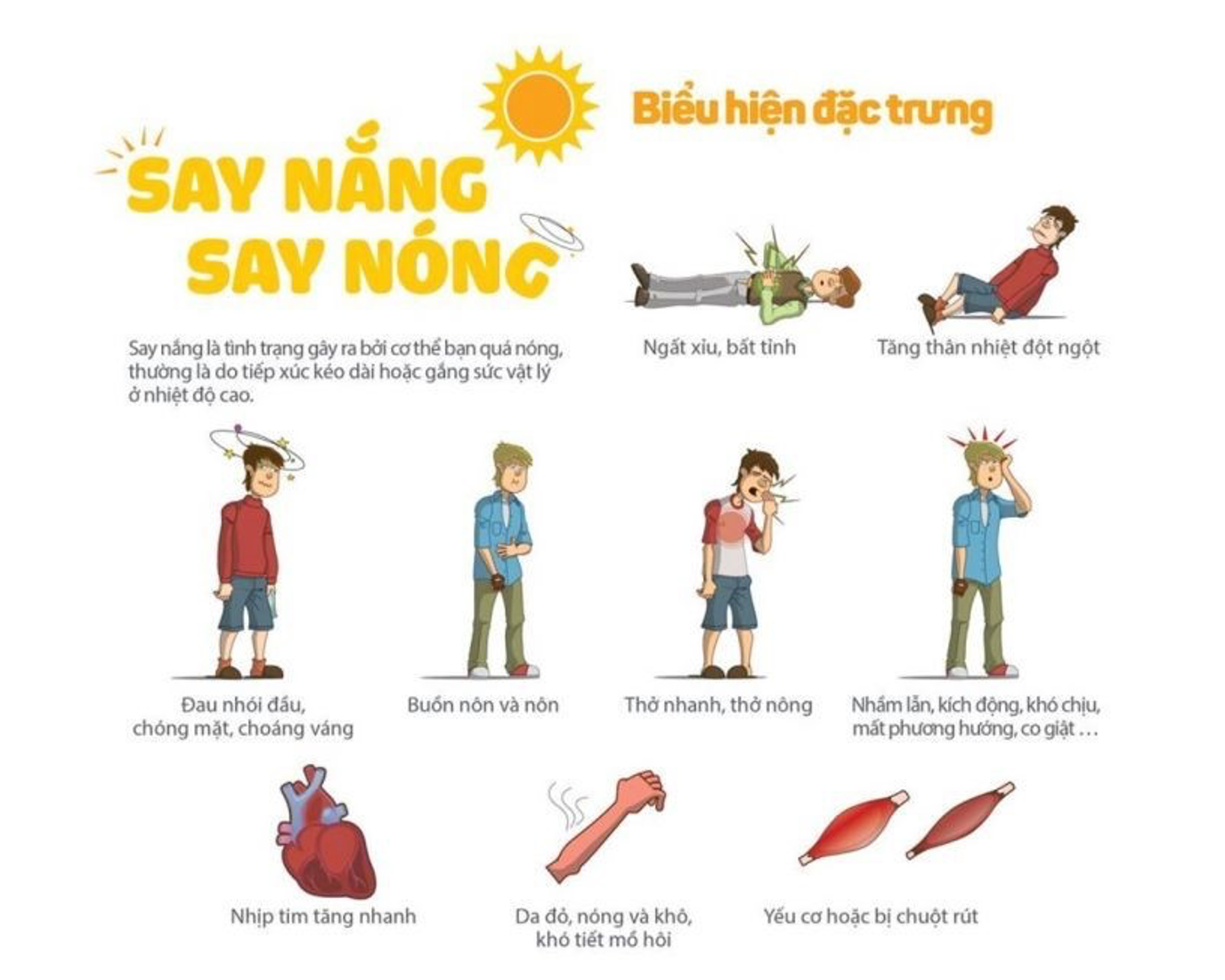 Nỗi nhớ của người say nắng