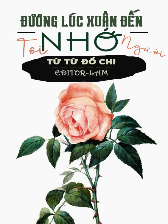 Đường Lúc Xuân Đến Tôi Nhớ Người Gallery 2