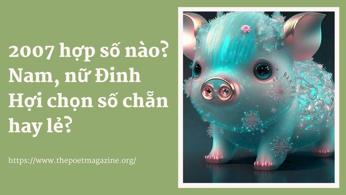 Nữ 2007 hợp với số nào? Gallery 2