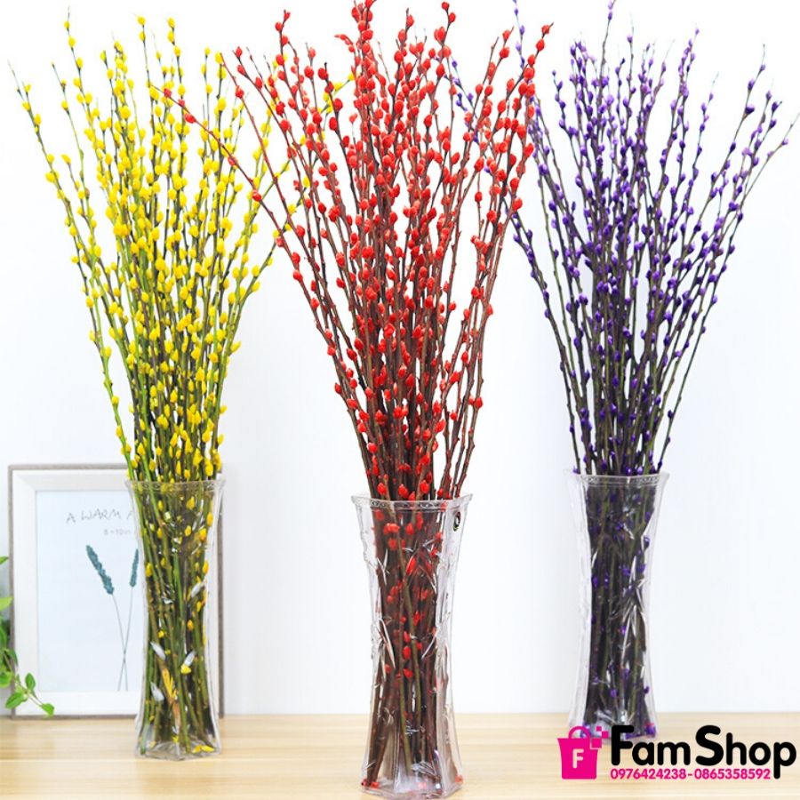 Nụ Tầm Xuân Để Được Bao Lâu?