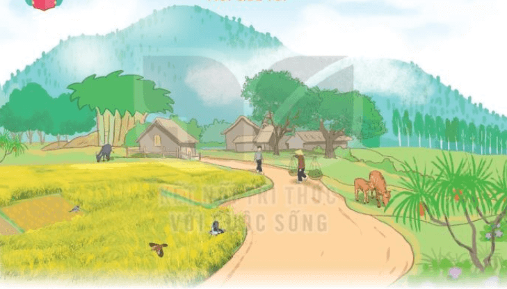 Núi quê tôi - Tiếng Việt lớp 3