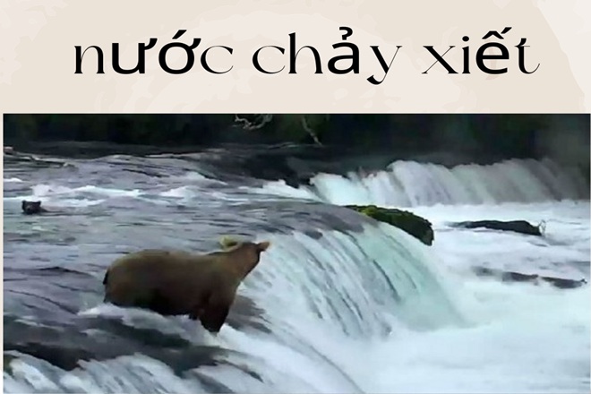 Nước chảy siết hay xiết?