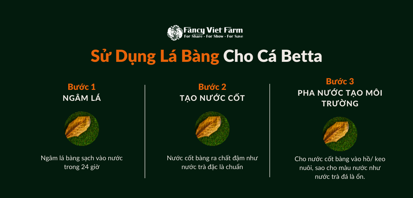 Nước lá bàng có tác dụng gì với cá?